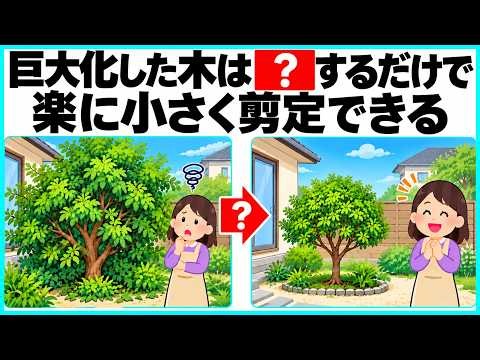 【剪定】初心者でも簡単！巨大化した庭木はコレをするだけで小さくできます【ライフハック雑学】