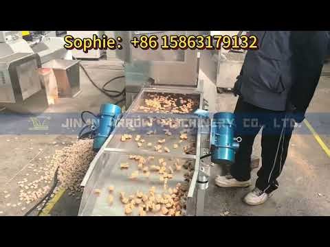 Fully Automatic Twin Screw Extruder for Granular Breadcrumbs Yellow Breadcrumb Production Machine
