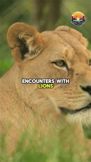 Tanzania’s wildlife wonders 🦁✨ || #travel #tanzania #africatravels