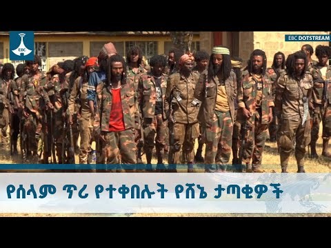 በምስራቅ ወለጋ ዞን በጃል ሞሳ ቡድን ስር ሲንቀሳቀሱ የነበሩ የሸኔ ታጣቂዎች የመንግሥትን የሰላም ጥሪ ተቀብለው ትጥቅ ፈቱ | Wollega | Peace |