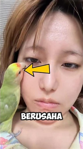This parrot panicked when it saw its mother's face, then did something completely unexpected