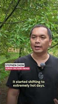 Malaysia's Durian Crisis: Climate Change Hits Farmers | King of Fruits Under Threat | News18
