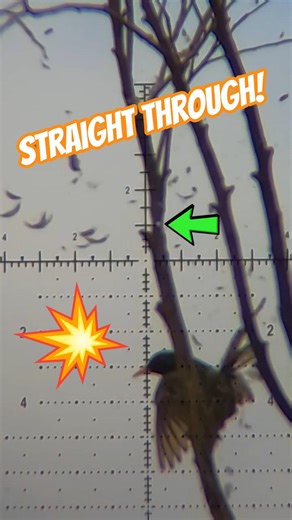 Straight through! Penetrating power | Powerful PCP #fxairguns #elementoptics