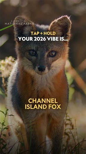 New year, new you! Which wild side are you channeling in 2026? ✨ #AmericasNationalParks