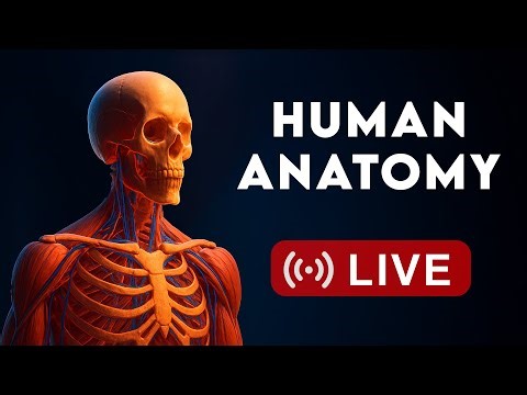 🔴 Inside Us Live: Human Anatomy & Organ Systems
