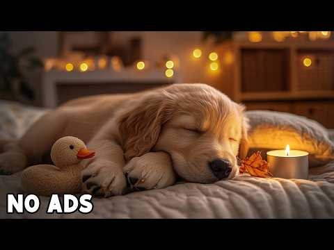 12 Hours Calming Music for Dogs 🌙 Anti Separation Anxiety Relief 🐾 Puppy Sleep Music 💖