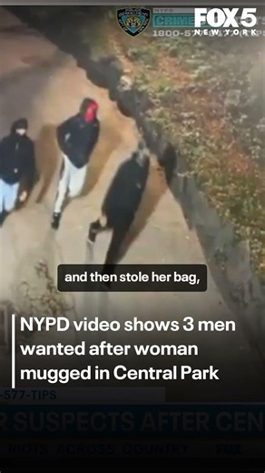 Suspects wanted in Central Park mugging