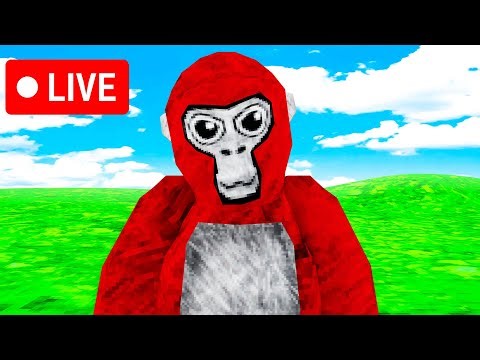 Gorilla Tag Live Event! Gorilla Tag VR Live)