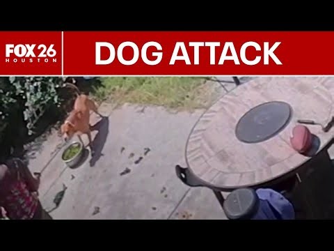 Pregnant Houston-area woman says dogs attacked her pet