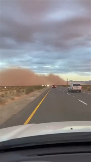 Chaos on Highway as Dust Storm Blinds Drivers Phoenix, Arizona — March 14, 2024 A sudden and massive wall of dust, known as a haboob, swept across a busy Arizona highway on Monday afternoon, leading to a series of high-speed collisions as visibility dropped to near zero in seconds. Motorists traveling along the interstate were caught off guard by the sheer scale of the approaching dust cloud, which darkened the sky and swallowed the road ahead. In the dramatic footage captured by a fellow motori