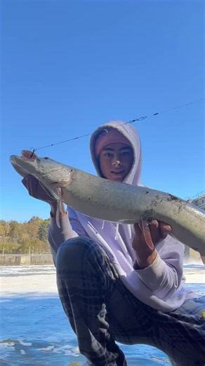 Musky Release: Why You Shouldn't Drop Them on Rocks