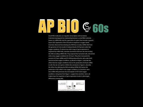 2024 AP Bio Question 6 - Gene Expression and miRNA Regulation