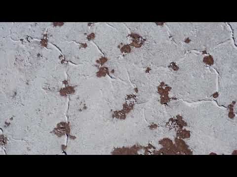 Reka Murray — Život Australije: voda, poljoprivreda i cena opstanka | Ekološka priča