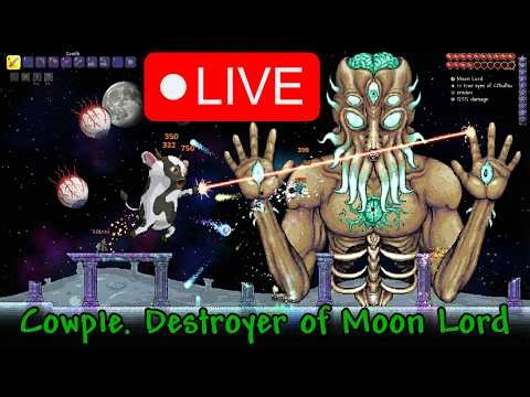 Final Bosses Tonight! | Terraria Calamity Mod - Expert Mode