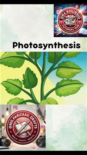 Photosynthesis process #photosynthesis #growth #biology #biologyfacts #photosynthesisprocess