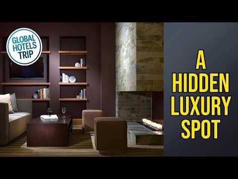 Loews Chicago O'Hare Hotel - A Hidden Luxury Spot | Chicago (IL), United States🌟