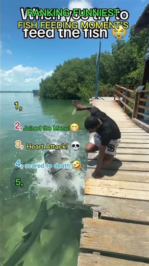 The Most EPIC Fish Feeding Fails! 😱🐟#shorts #ranking