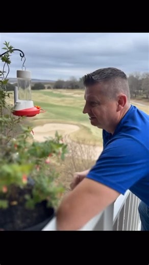 Time to put up those #hummingbird feeders! as they migrate from Central America Every spring, millions of hummingbirds make an incredible journey from Central America and southern Mexico to breeding grounds across the United States and Canada. For such tiny birds (some weighing less than a nickel), it’s one of the most impressive migrations in the world. ⸻ 🐦 Key Migrating Species Ruby-throated Hummingbird • Most common in the eastern U.S. • Winters in Central America • Crosses the Gulf of Mexic