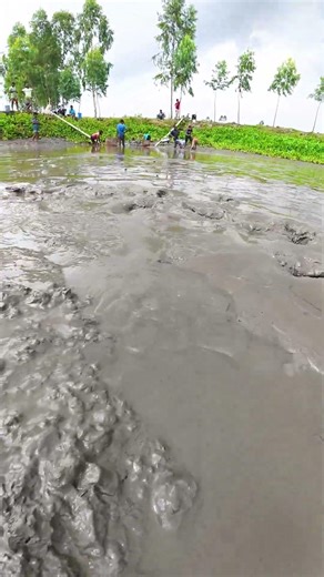 Amazing Traditional Mud Fishing Technique | Unique Village Life