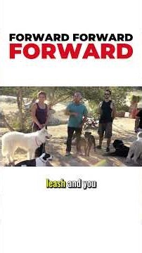 Forward Forward Forward