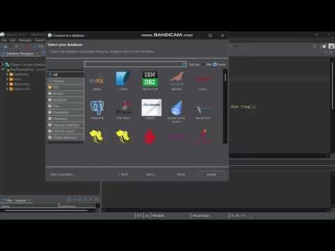 Thực Hành Môn Cơ Sở Dữ Liệu Phân Tán MySQL bằng Docker