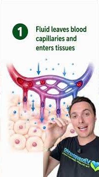 Lymphatic Drainage EXPLAINED
