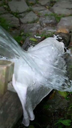 This Is How Gelatin Is Really Made 😨