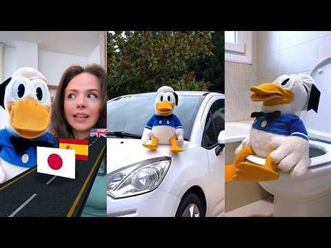 You Laugh You Lose #5🤣🦆 - SAN PITO PATO