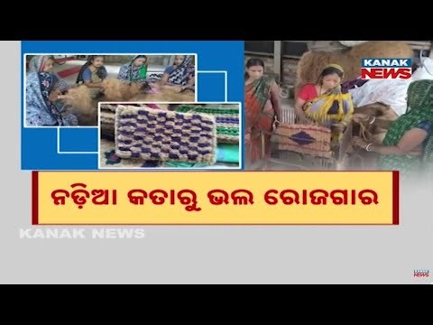 Bazaar Halchaal: Coconut Coir Cottage Industry Empowers Women | Balasore Women Become Self-Reliant