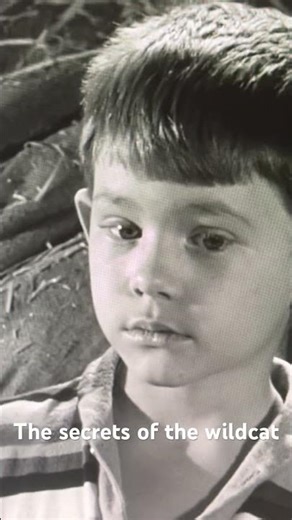 The Andy Griffith Show: Season 2 Episode 14 “The Keeper of the Flame” Opie joins a secret club