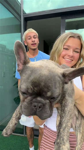 storm stealing the spot light😂 #dog #dance #funny #frenchbulldog #trend