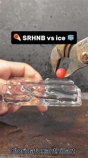 SRHNB vs Ice experiment: satisfying ASMR science test