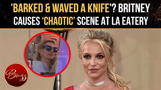 Britney Spears Accused Of Barking, Yelling & Waving Knife During Chaotic Dinner Outing In LA