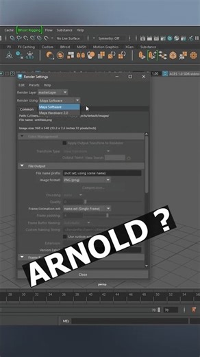 how to on arnold renderer option in #autodeskmaya