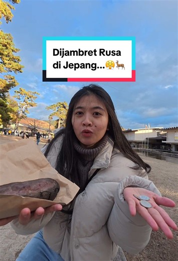 Dijambret Rusa di Jepang: Pengalaman Tak Terduga