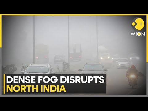 India: Cold Wave Sweeps Across Multiple States; IMD Warns of Severe Cold | WION NEWS