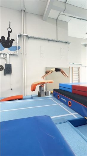 Gymnastics-Vault & Bars Training