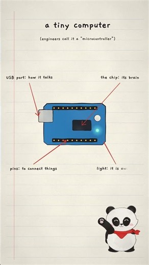 What Is Arduino? Explained by Nobi