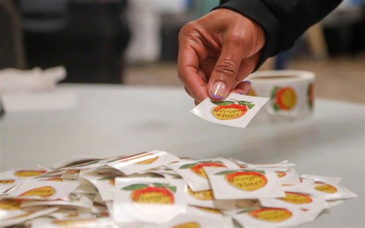 Newly launched election data hub shows record early voting in Georgia