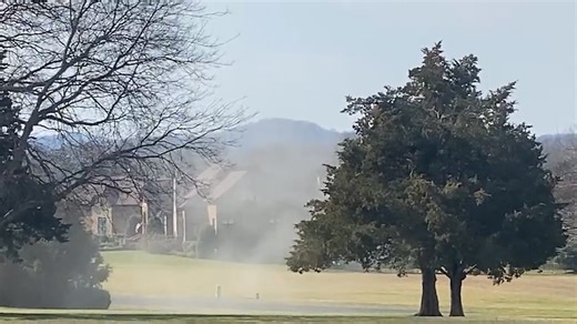 Large 'pollen bomb' caught on camera, see video