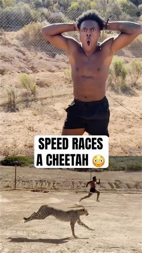 Speed held his own against a cheetah 😮 (via @IShowSpeed)