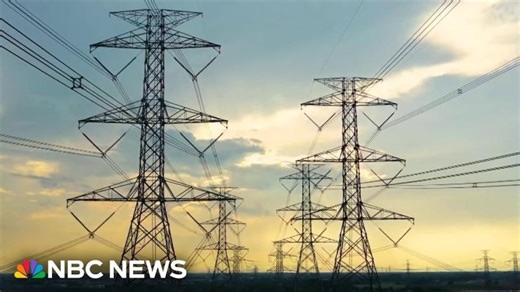 Electrical grid at increasing risk of blackouts due to surging demand | Michael Gibson