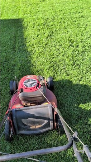 The Lawn... wanting to get out of control