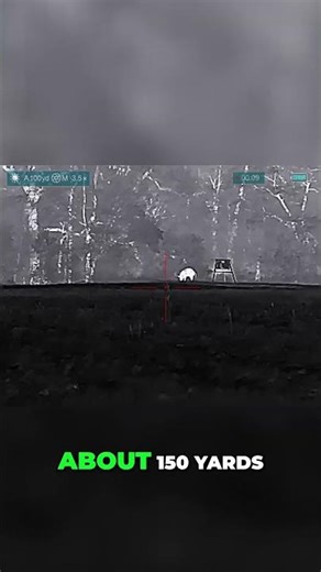 Thermal Vision: Epic Hog Hunt! Watch This Close Call! #shorts