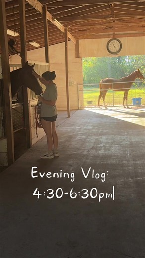 My evening 4:30-6:30pm🤭💞💞 #rescuehorses #eveningroutinevlog #feedinghorses #barn #dogsoftiktok
