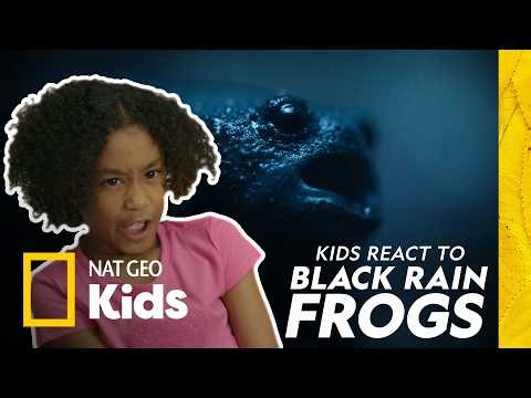 Kids React to Black Rain Frogs | Africa Earth's Wild Home | Nat Geo Kids