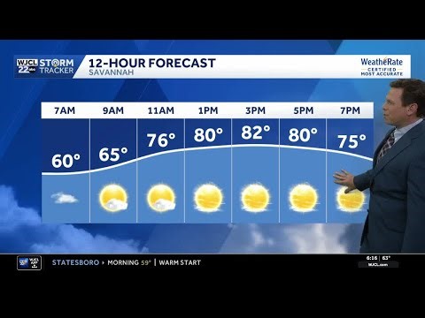 Sunshine and warm for the Savannah area