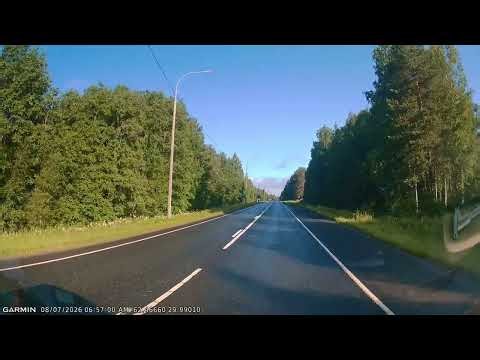 Hirvi älä tule tielle. 8.7.2026