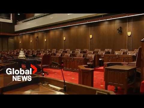 Carney revives partisan Senate appointments