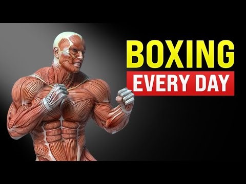 Do Boxing Every Day And This Will Happen To Your Body